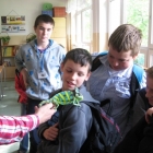 Świat na wielu nogach